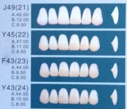 SDT-SA82 whitening veneers resin teeth